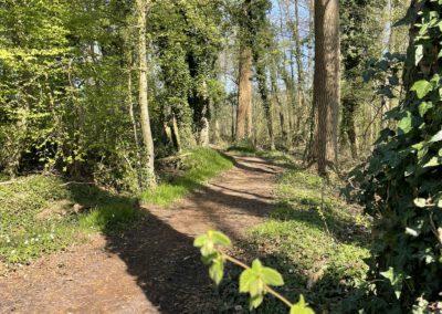 Naturpark Hohe Mark bietet ersten Erlebniswanderweg für Familien