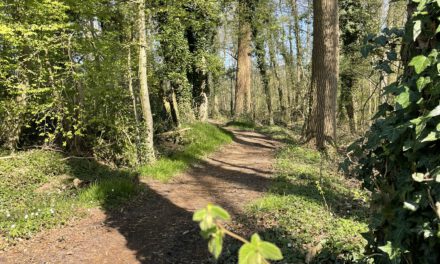 Naturpark Hohe Mark bietet ersten Erlebniswanderweg für Familien