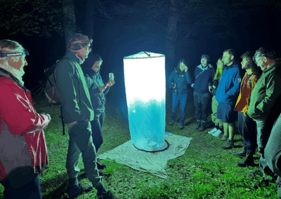Lichtfang-Führung für Nachtschwärmer