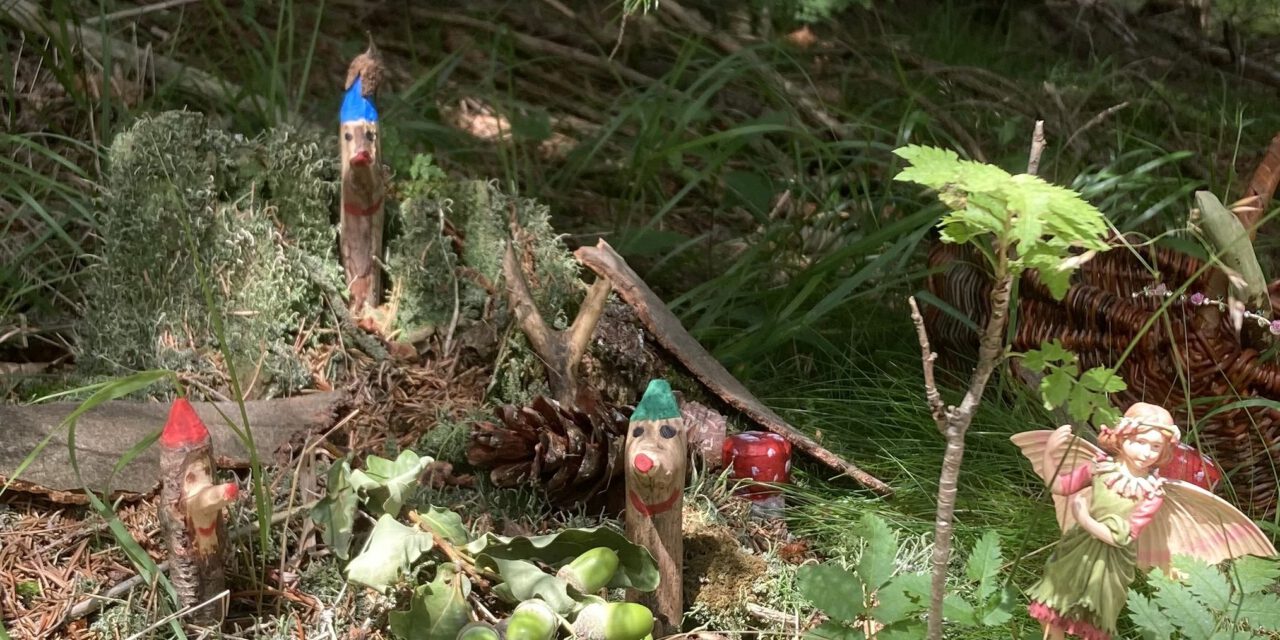 Märchenhafte Walderlebnisse