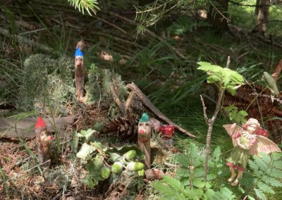 Märchenhafte Walderlebnisse
