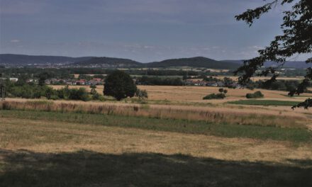 Im Herbst durch Wald und Wiesen