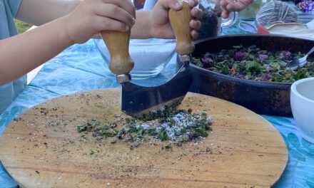 Abenteuer im Naturpark Saar-Hunsrück