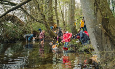 Werde ein Fluss-Forscher!