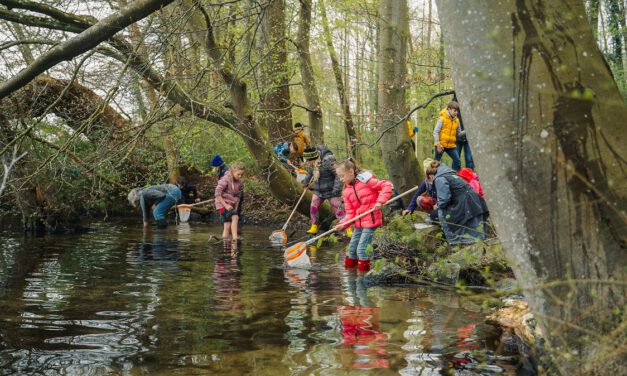 Werde ein Fluss-Forscher!