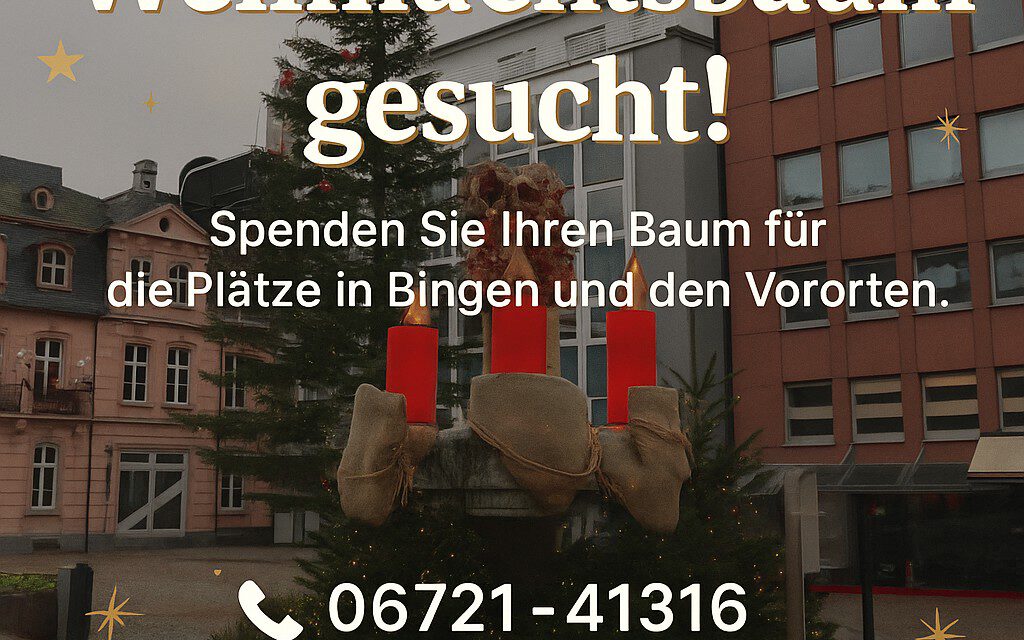 Weihnachtsbäume für Binger Plätze gesucht