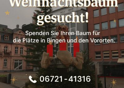 Weihnachtsbäume für Binger Plätze gesucht