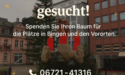 Weihnachtsbäume für Binger Plätze gesucht