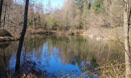 Exkursion in die Graue Ruh am 12.10.25