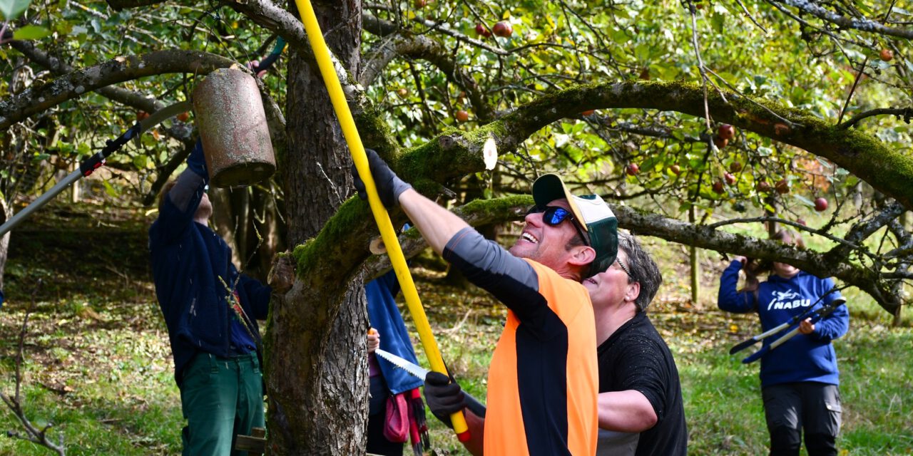 Länderübergreifender Pflegezonentag am 24. Oktober