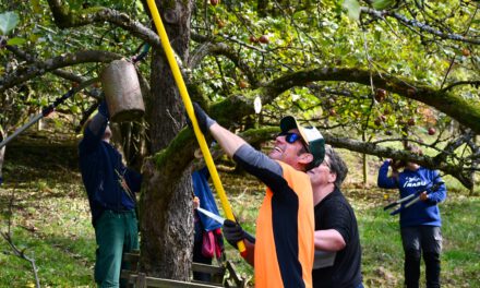 Länderübergreifender Pflegezonentag am 24. Oktober
