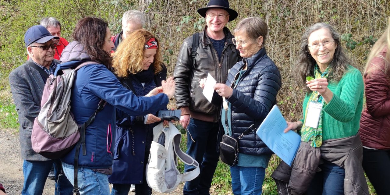 Wildpflanzen, Heilkräuter und mehr