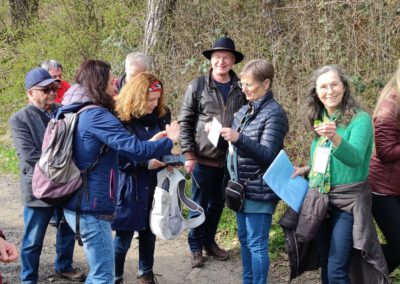 Wildpflanzen, Heilkräuter und mehr