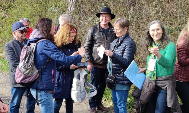 Wildpflanzen, Heilkräuter und mehr