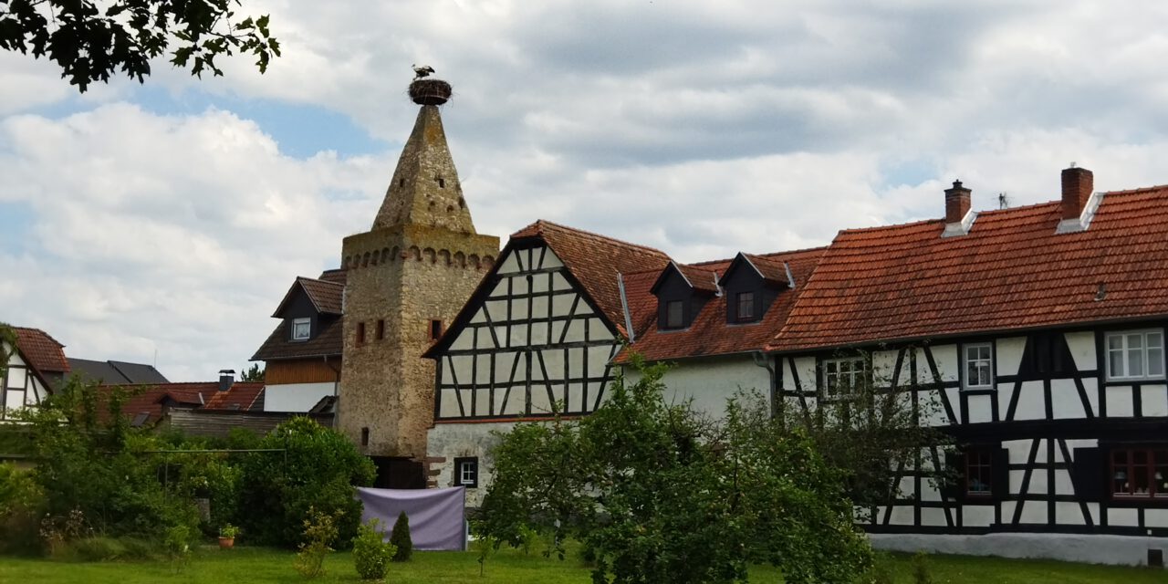 Ochsen, Störche und Bananen
