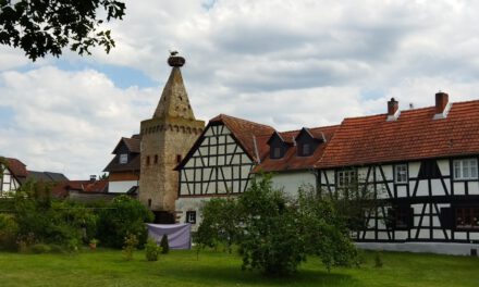 Ochsen, Störche und Bananen