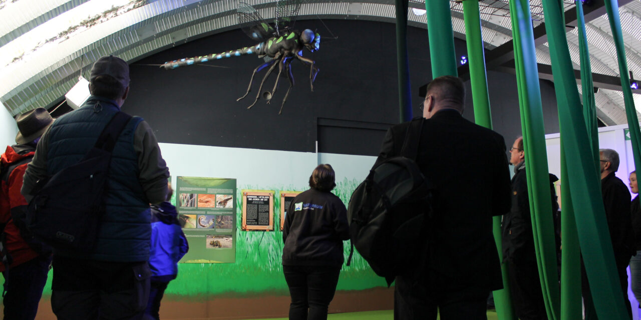Sommersaison im Natureum endet am 2. November