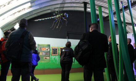 Sommersaison im Natureum endet am 2. November