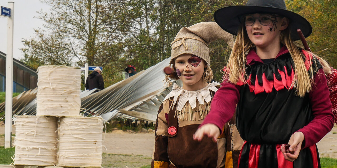 Halloween im Natureum Niederelbe
