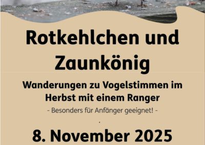 Rotkehlchen und Zaunkönig