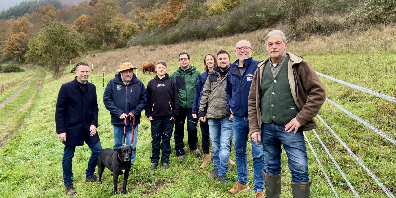 Tierische Landschaftspfleger fürs Meerfelder Maar