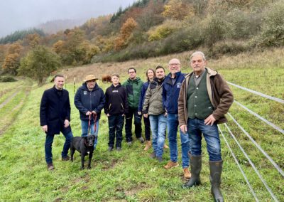 Tierische Landschaftspfleger fürs Meerfelder Maar