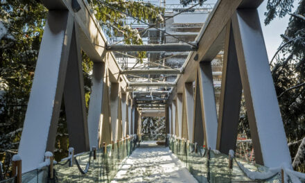 Winterzauber im Nationalparkzentrum